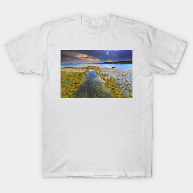 Rockpool sunset T-Shirt by dags